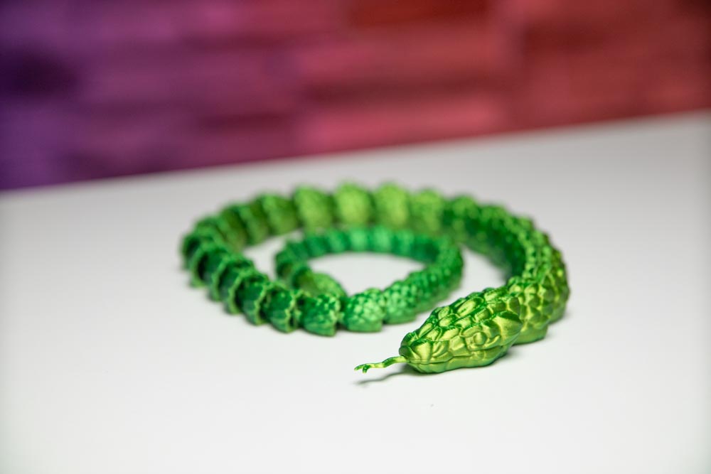 Brazilian Cobra - Snake