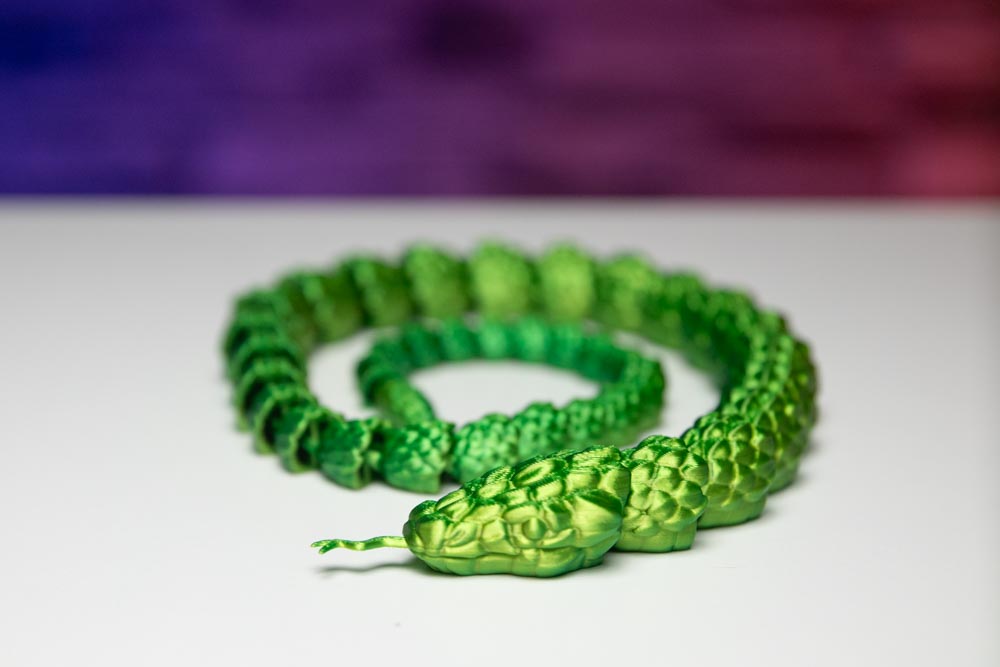 Brazilian Cobra - Snake