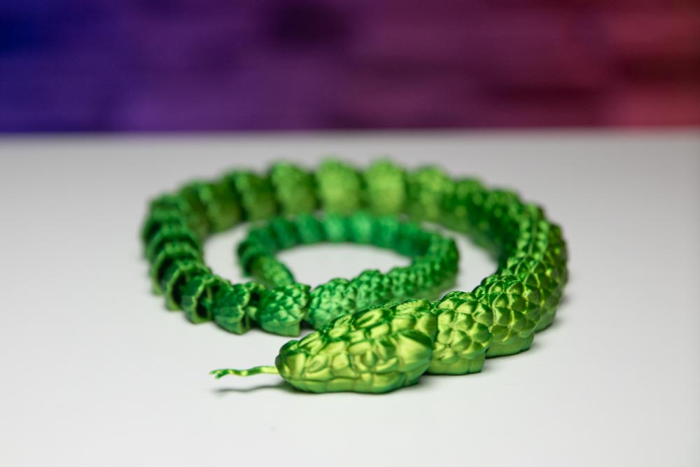 Brazilian Cobra - Snake