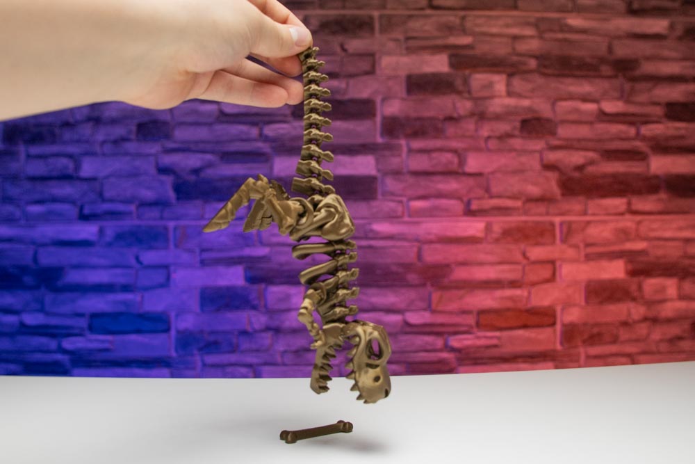 3D Print Dinosaur - Articulated T-Rex Skeleton