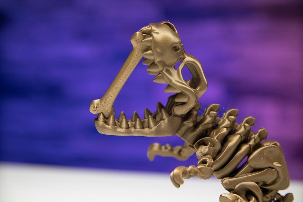 3D Printed T-Rex Skeleton
